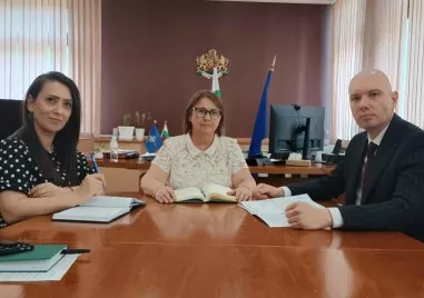 Пловдивската полиция с масиран контрол, следи за нелегален трафик и продажба на болни животни от шарка