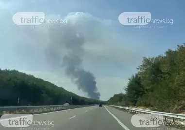 Горят вагони със слама в близост до ТЕЦ Бобов дол