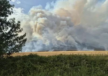 Пожар затвори път към Петолъчката, евакуираха три села в Трънско