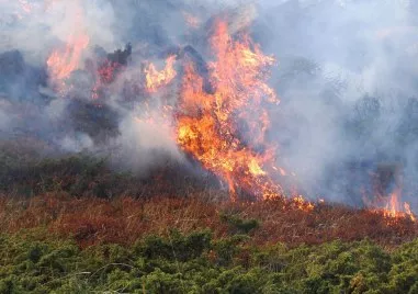 Обстановката в област Хасково рязко се влоши Два големи горски