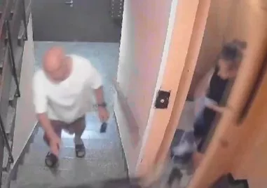 Домашен питбул се нахвърли върху момиче и кучето й в София ВИДЕО