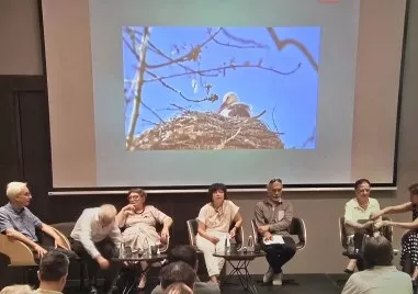 Експерти: Недвижимото културно наследство е в състояние на катастрофа