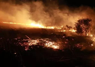 Локализиран е пожарът който избухна вчера на километри от първомайското