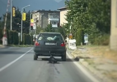 Скандално: Куче бе вързано и влачено по улиците на Банско