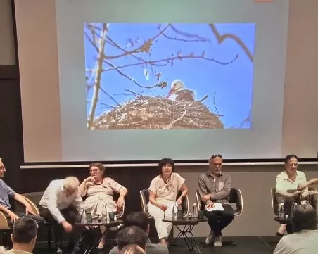 Експерти: Недвижимото културно наследство е в състояние на катастрофа