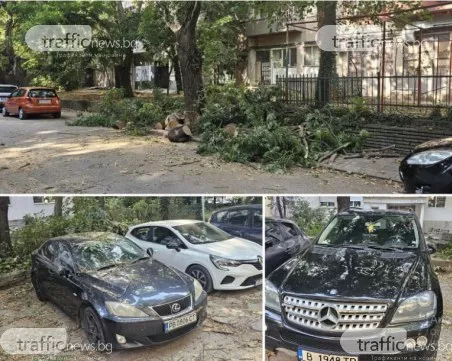 Огромен клон от компрометирано дърво премаза кола в Кършияка, още два автомобила са с щети