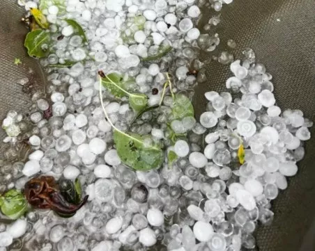 Силна градушка удари Северозападна България