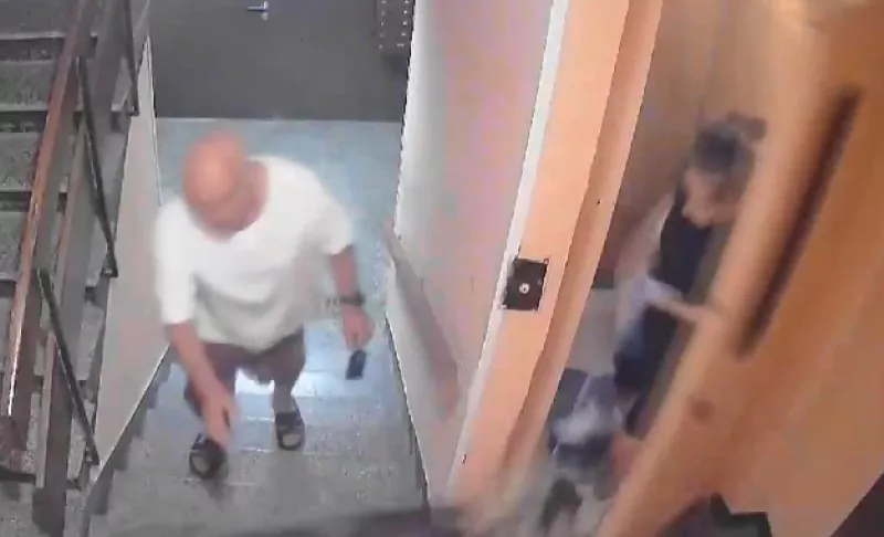 Домашен питбул се нахвърли върху момиче и кучето й в София ВИДЕО