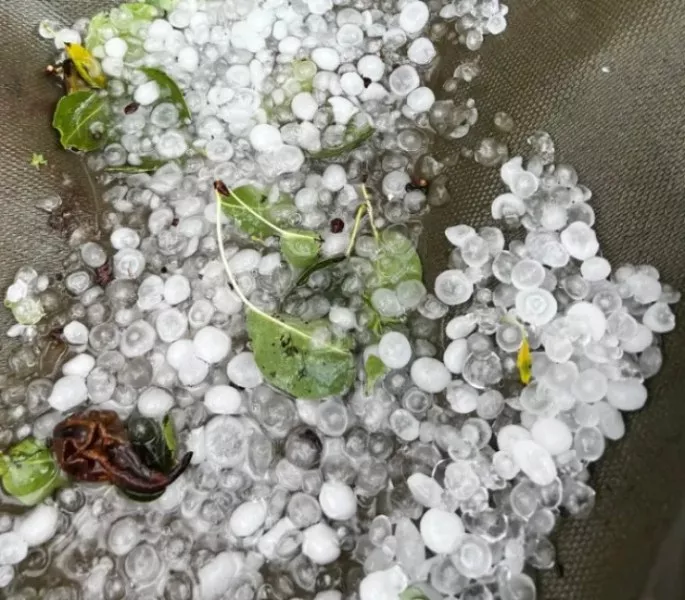 Силна градушка удари Северозападна България