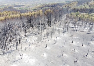 Пожарите в горите и откритите територии с пасища и храсти