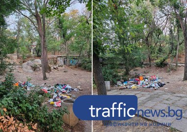 Вехтошарят който се беше самонастанил на Младежкия хълм отново се