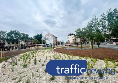 Завършват озеленяването на колелото на Централна гара видя репортер на