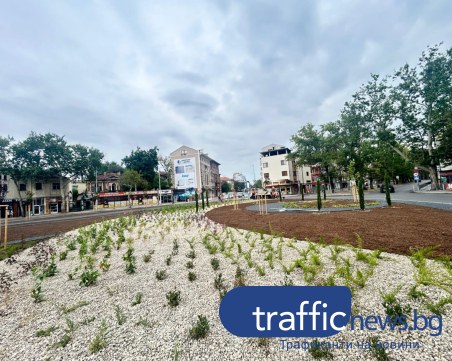 Повече от 2500 храста вече са засадени на кръговото на Централна гара, оформят ги на различни височини