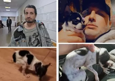 Казусът Мауси продължава да вълнува мнозина защитници на животните членове