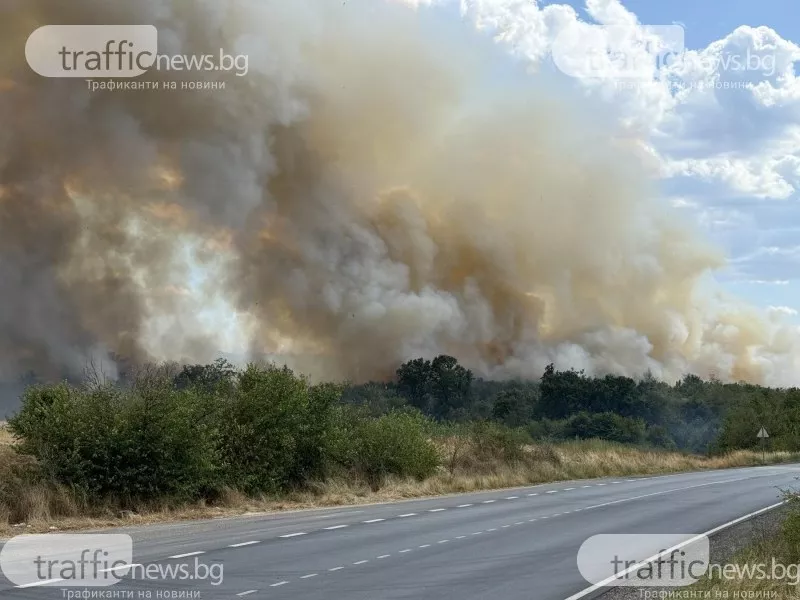 През изминалият месец екипите на пожарната в Пазарджик са участвали