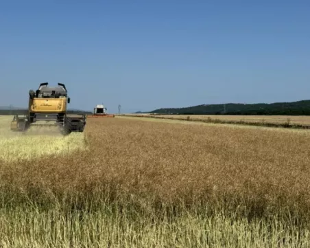 Добивът на зърнени култури в Пловдивско е поразен от горещините