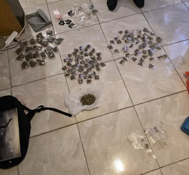 Разбиха депо за марихуана в Пазарджик