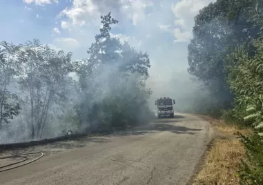 Локализиран е пожарът до язовир Мътница в района на вилната