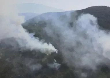 Спокойна е обстановката в Пирин след като още вчера пожарът