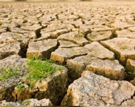 39 гръцки общини обявиха извънредно положение заради сушата