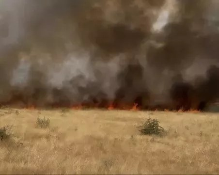 Пламна пожар до пътя Враца - Вършец