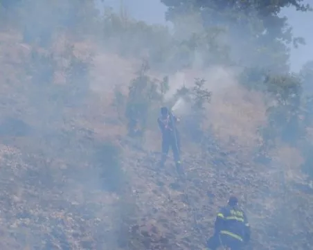 Потушен е пожарът, който пламна в местността Трънски обор