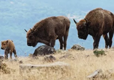 Един мъж вече 14 години участва в необичайна мисия