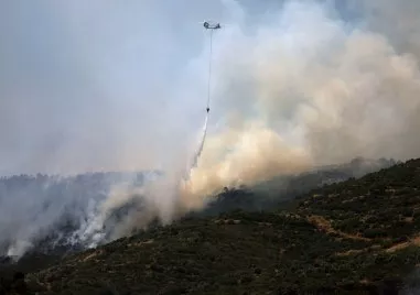 Пожар бушуващ в горист район в турския окръг Къркларели Лозенград