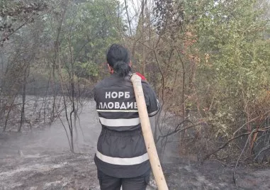 Доброволното формирование Национален отряд за реакция при бедствия – НОРБ