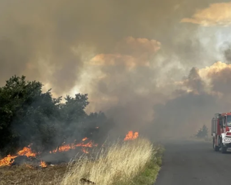 Арестуваха 18-годишен за пожар край Безмер