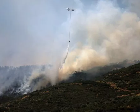 Горски пожар в Турция затвори магистрала към България