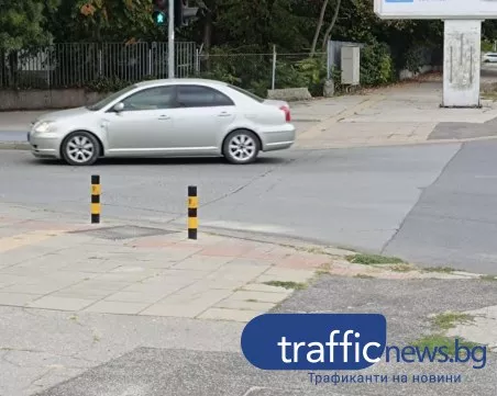 Изчезващите „зебри