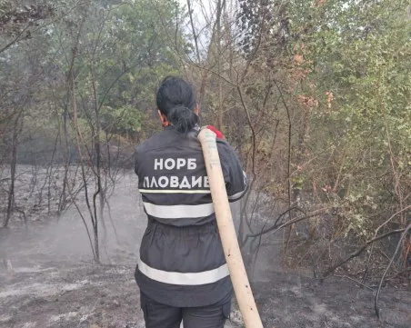 Пловдивската структура на НОРБ търси нови доброволци