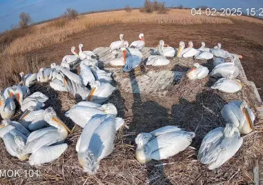 Настоящата година се оказа доста динамична и изпълнена с предизвикателства