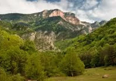 Разработени са официалните правила за използване на логото и търговската