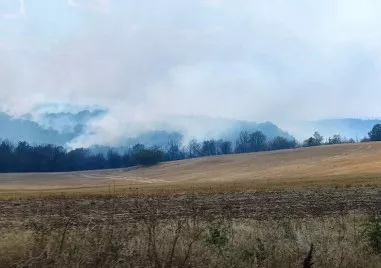 Със своя заповед кметът на Община Харманли обяви частично бедствено положение във