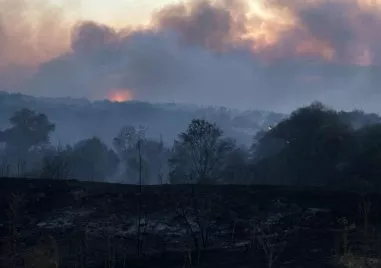 Голям пожар възникна в понеделник следобед в местността Радинчево между