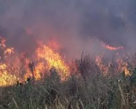 Нов пожар над село Плоски
