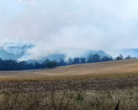 Обявиха частично бедствено положение в Харманли заради огромния пожар в Сакар, възможна е евакуация