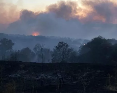 Огромен пожар бушува в Сакар планина, 13 екипа огнеборци и тежка верижна техника са на място