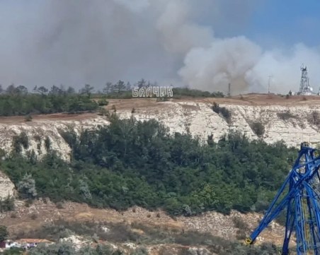 Пожар бушува в Балчик, обхваната е територия от 10 декара