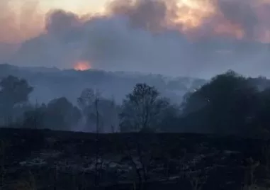 Заваля дъжд над големия пожар в Сакар Трети ден продължава