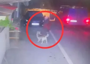 Районният съд в Тетевен определи мярка за неотклонение домашен арест