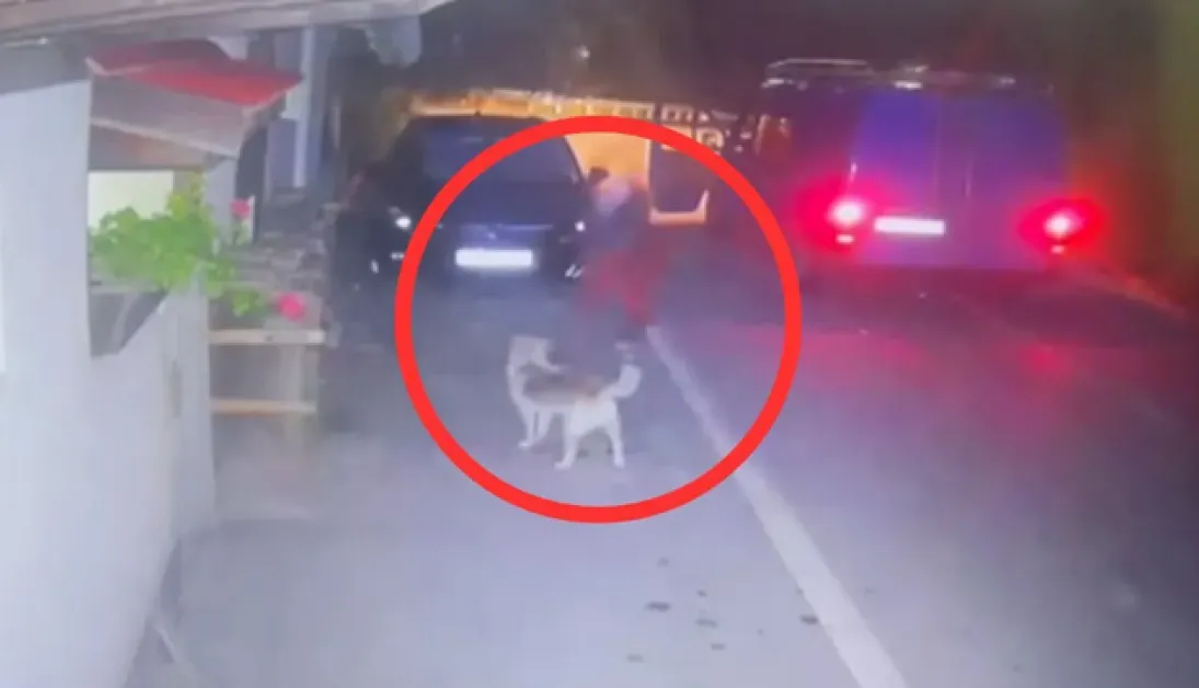 От 2 до 8 години затвор грозят 39 годишния мъж задържан