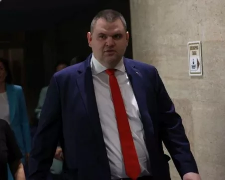 Пеевски: НАП, Агенция „Митници