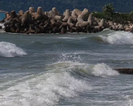 Жълт код за силен вятър по Черноморието, поривите ще достигнат 60 км/ч