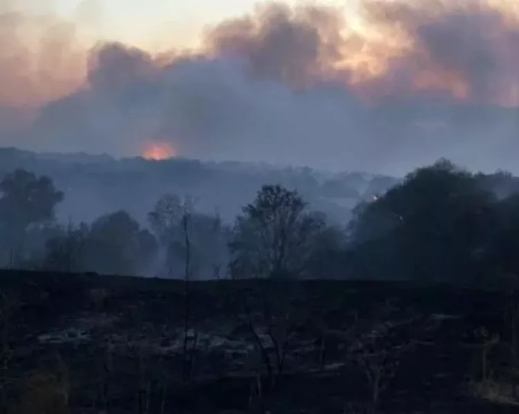 Дъжд заваля над огромния пожар в Сакар планина