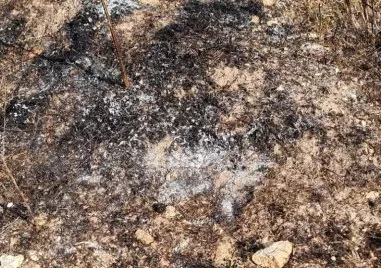 Мълнии са причинили пет пожара в област Кърджали съобщиха от Областната