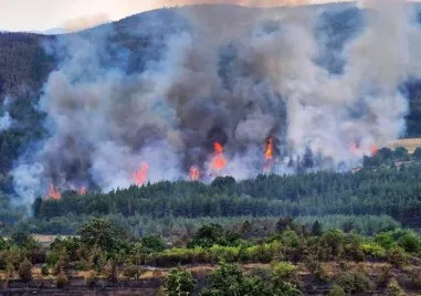 Трети ден продължава борбата с мащабния пожар в Сакар Огнената