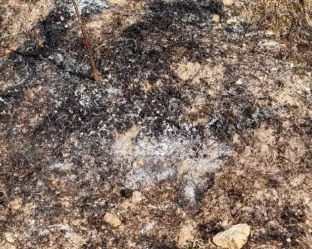 Мълнии причиниха пет пожара в Кърджалийско